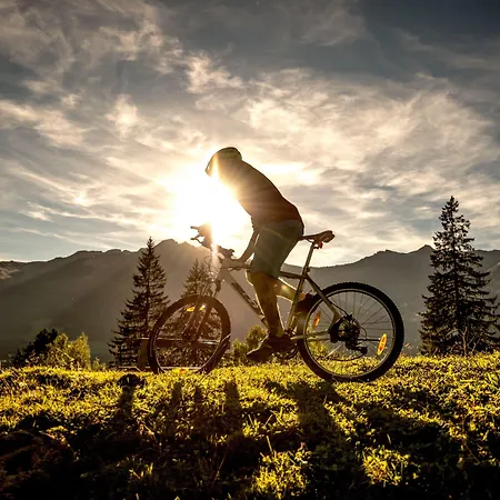 호텔 Oesterreichischer Hof-im Bademantel Direkt In Alpentherme 4*